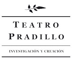 Teatro-Pradillo_marina-santo-docente-danza-BN