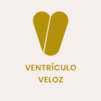 logo2_ventriculo-marina-santo
